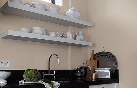 Zartes Sandbeige. Eine in diesem harmonischen und zeitlos eleganten Farbton gestrichene Küche mit Spüle und Geschirrregalen.