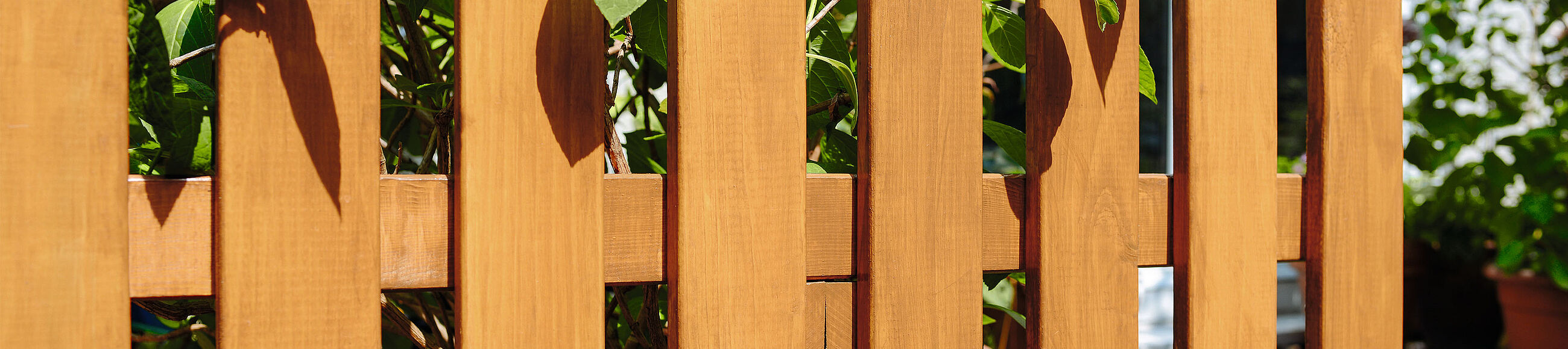Ein Holz-Zaun in einem Garten 