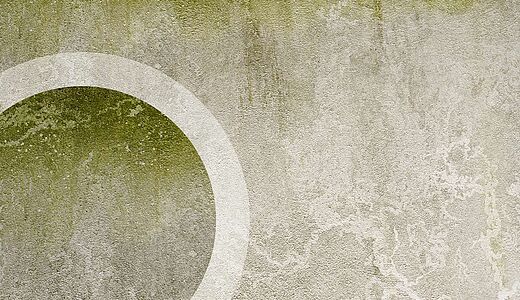 Tipps zum Streichen vergrünter Fassaden