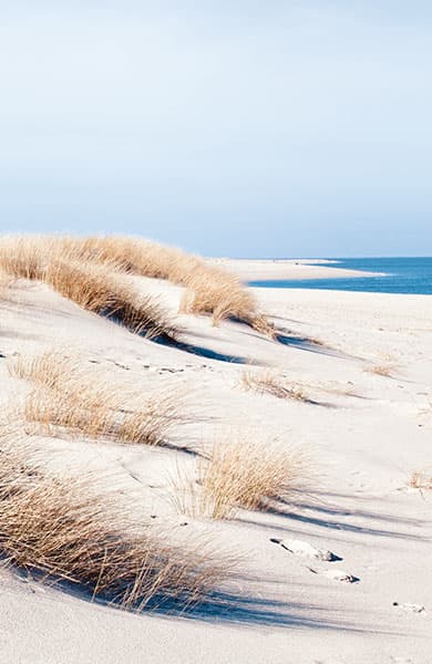 Elegante Gelassenheit