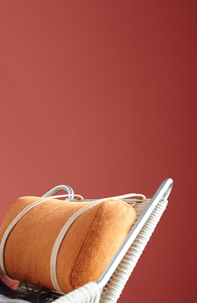 Befreiter Feuervogel