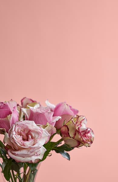 Kokette Sinnlichkeit