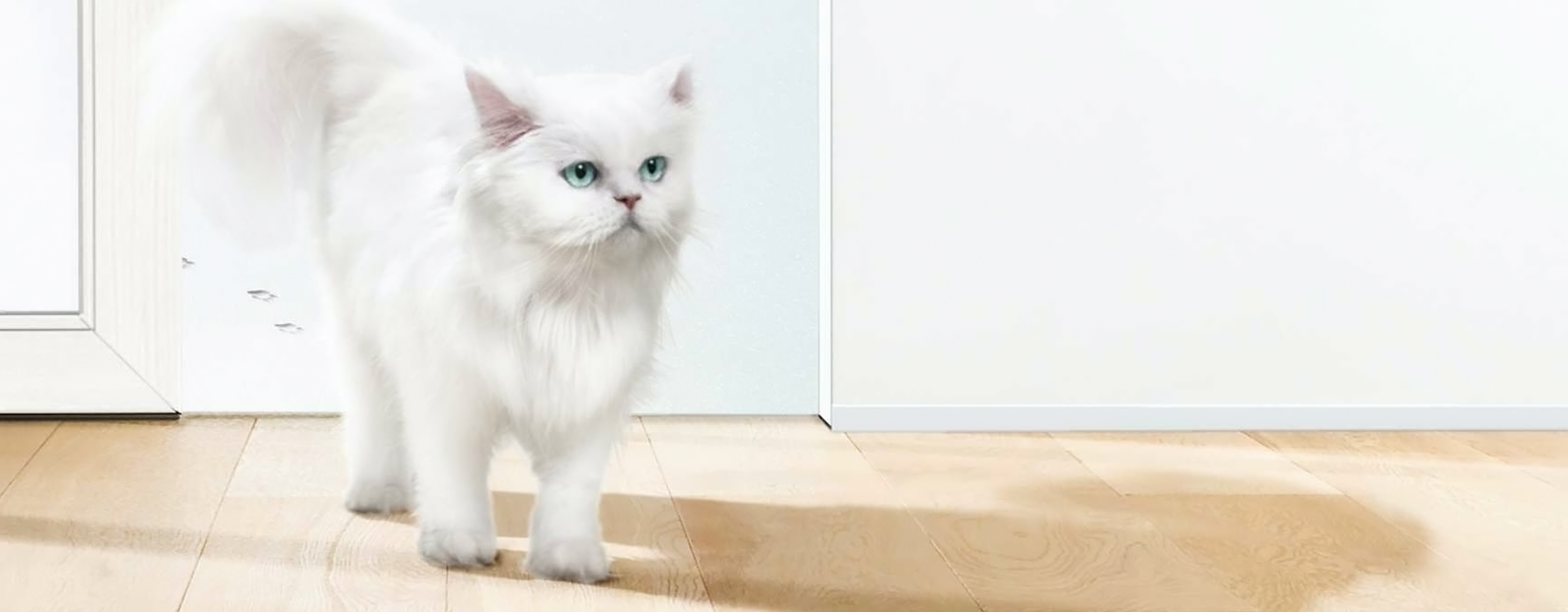 Unsere Chronik auf dem Weg zur Farben-Marke Nr. 1